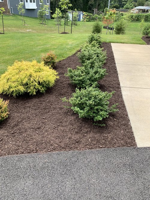landscaping 13