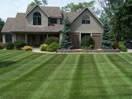 landscaping 2