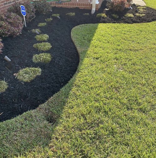 landscaping 1