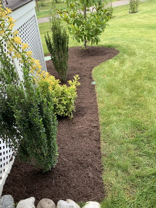 landscaping 9