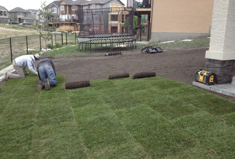 Sodding