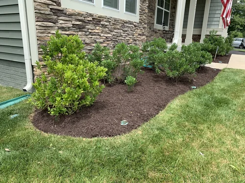 landscaping 12