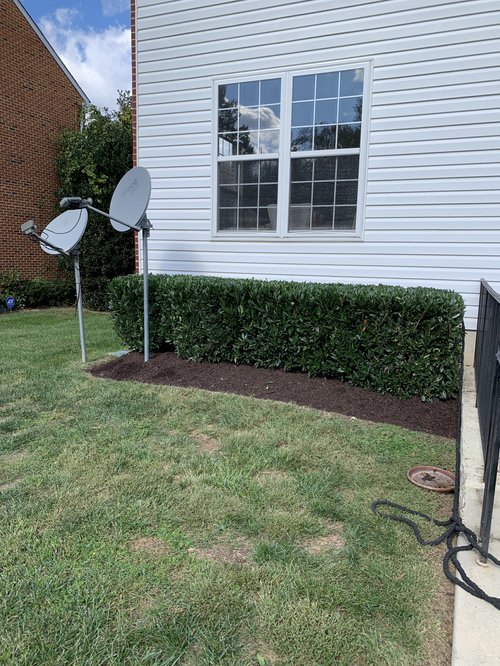 landscaping 19