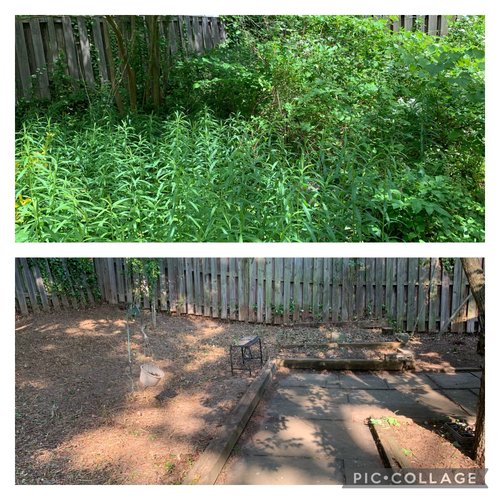 Weed Removal