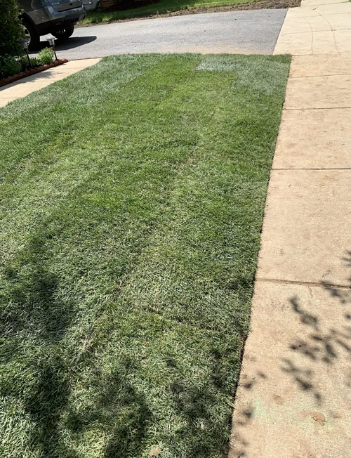 landscaping 8