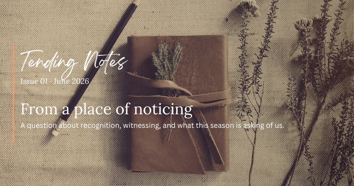 From a place of noticing