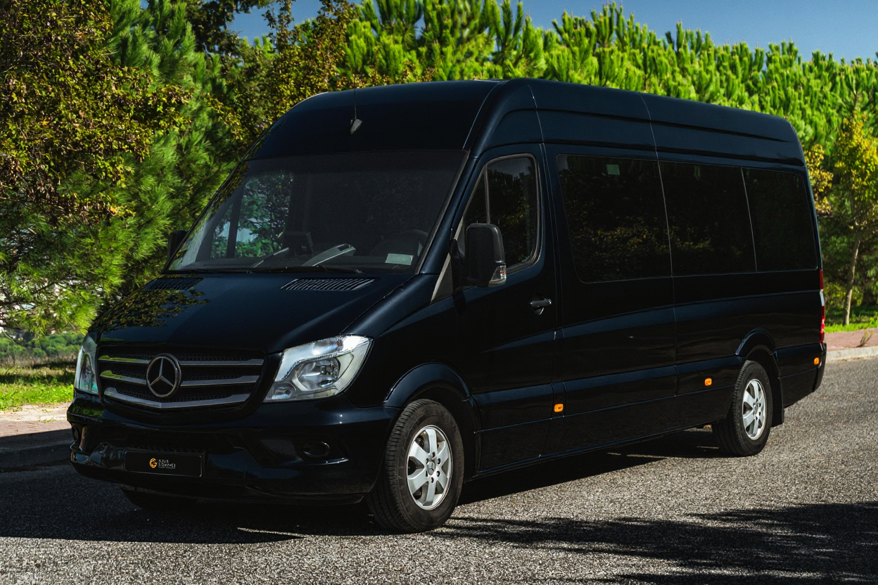 Van preta Mercedes-Benz estacionada na rua com árvores verdes ao fundo.