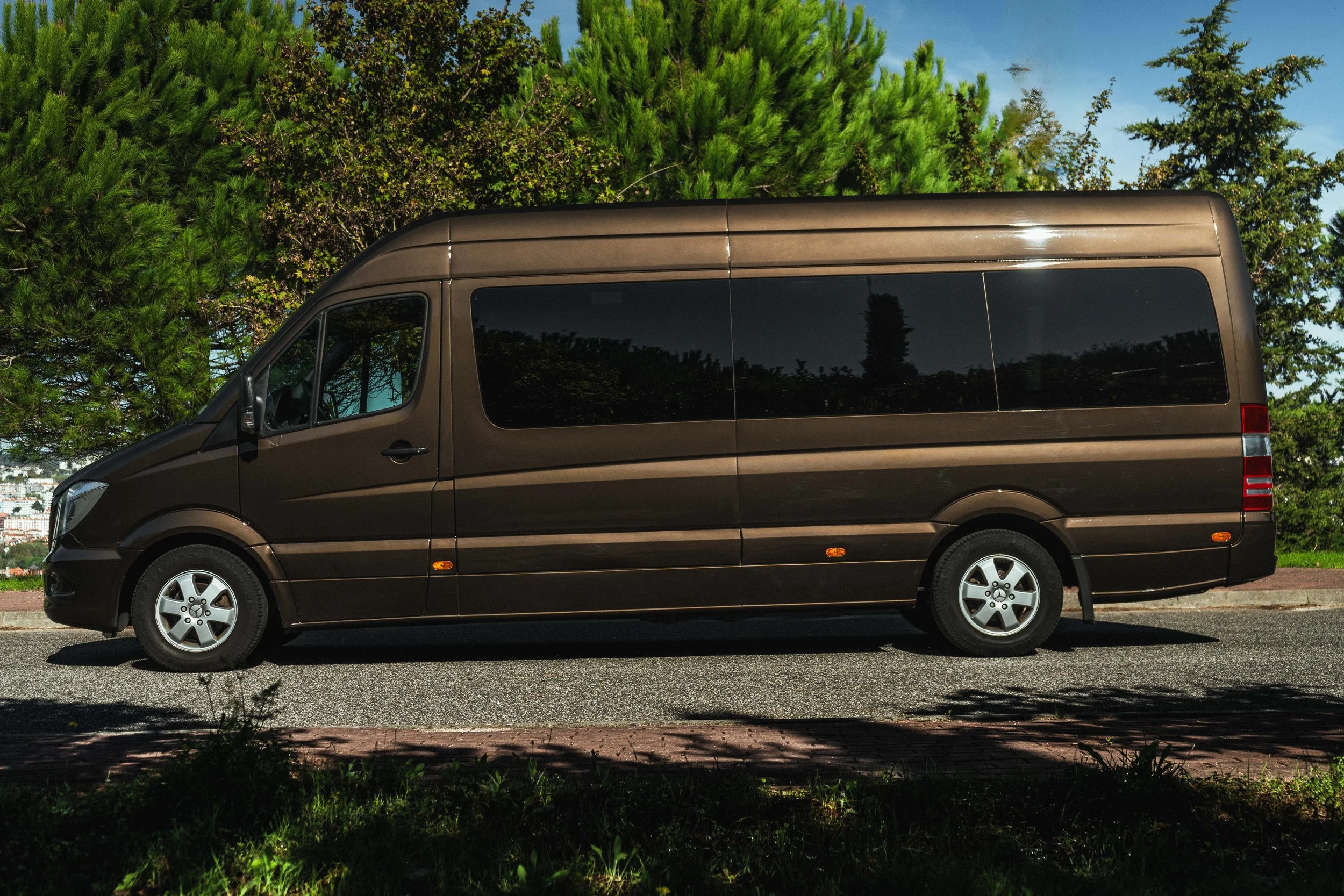 Furgão marrom estacionado na rua, com árvores verdes ao fundo e céu claro.