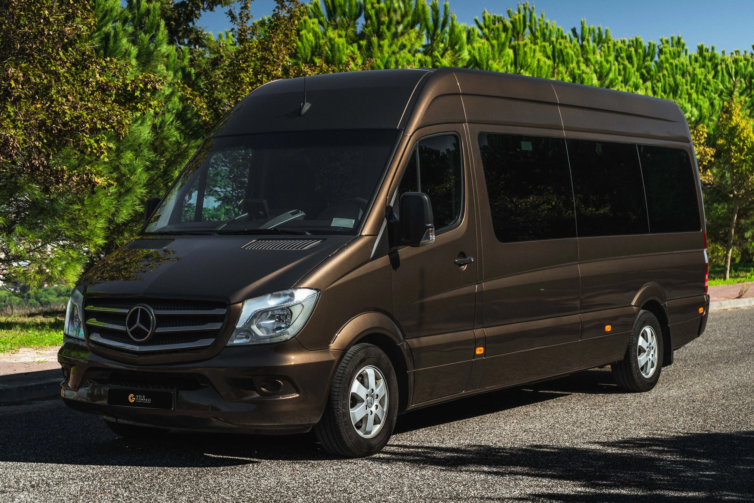 Furgão Mercedes-Benz de cor marrom escuro estacionado na rua com árvores verdes ao fundo