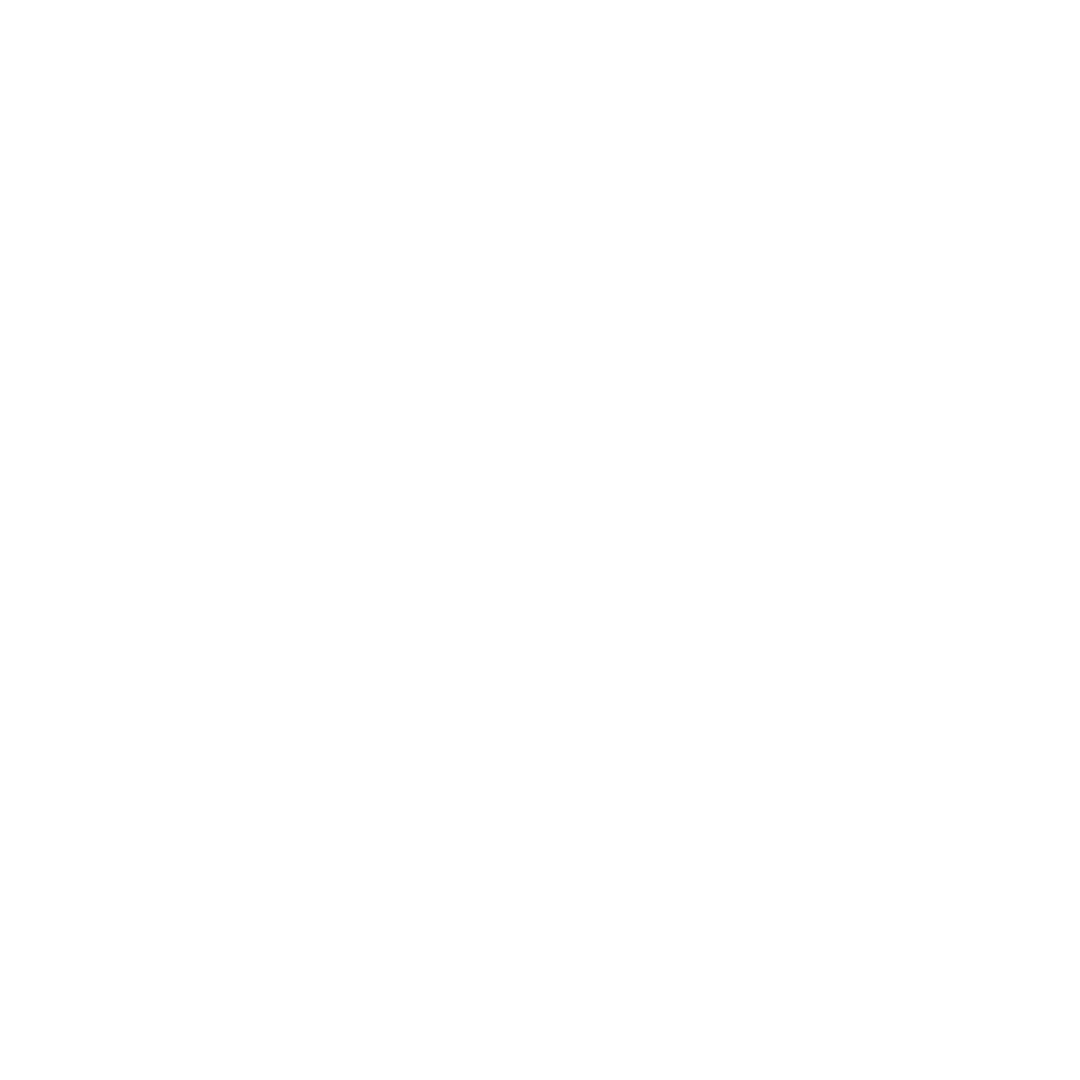 FS_Logo_Horz_White_Trns.png