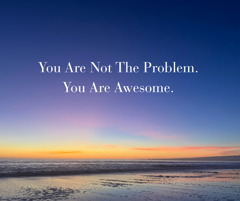 You Are Not The Problem. You Are Awesome.&nbsp;