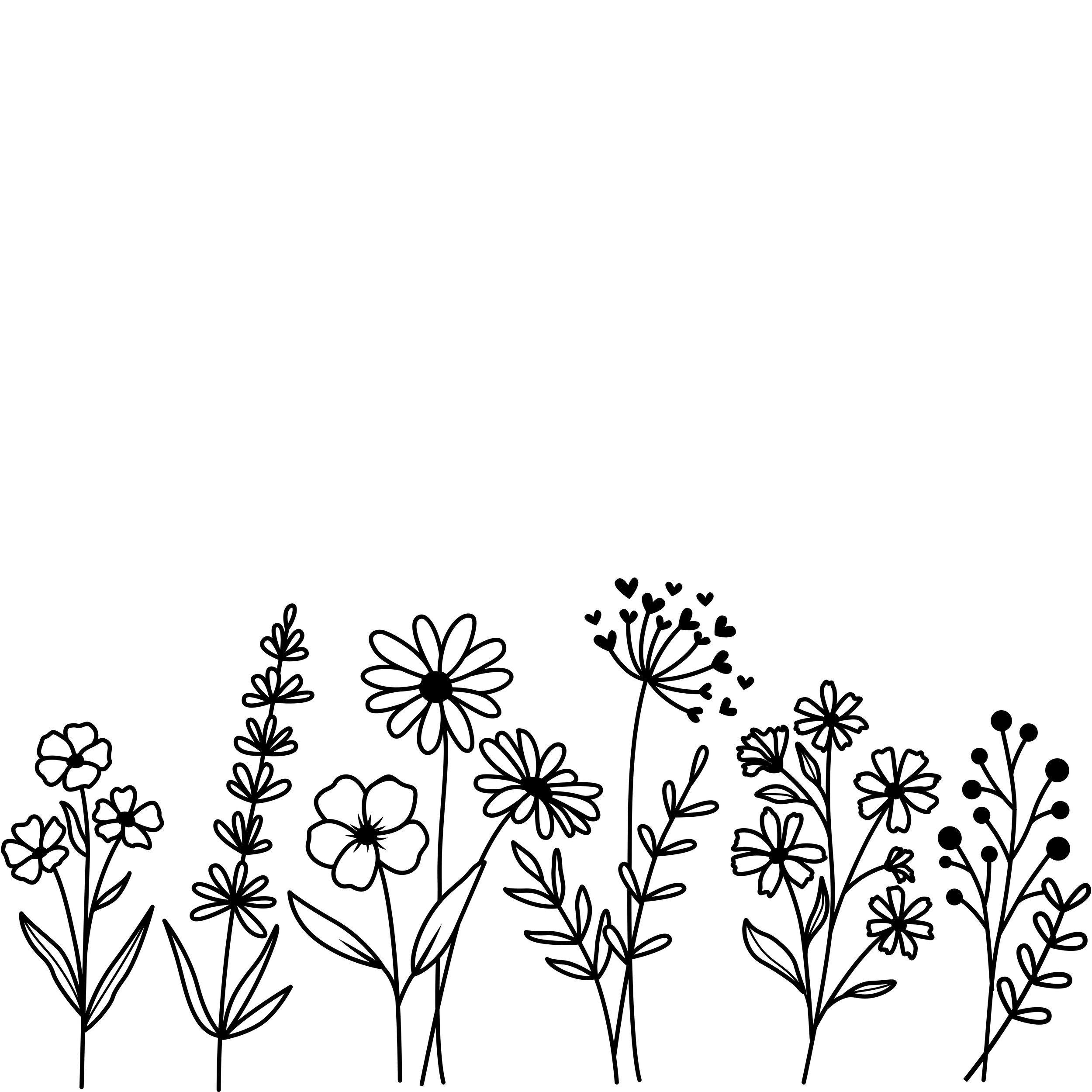 A black and white line drawing of a variety of wildflowers, including daisies and other simple blooms, with delicate leaves and stems.