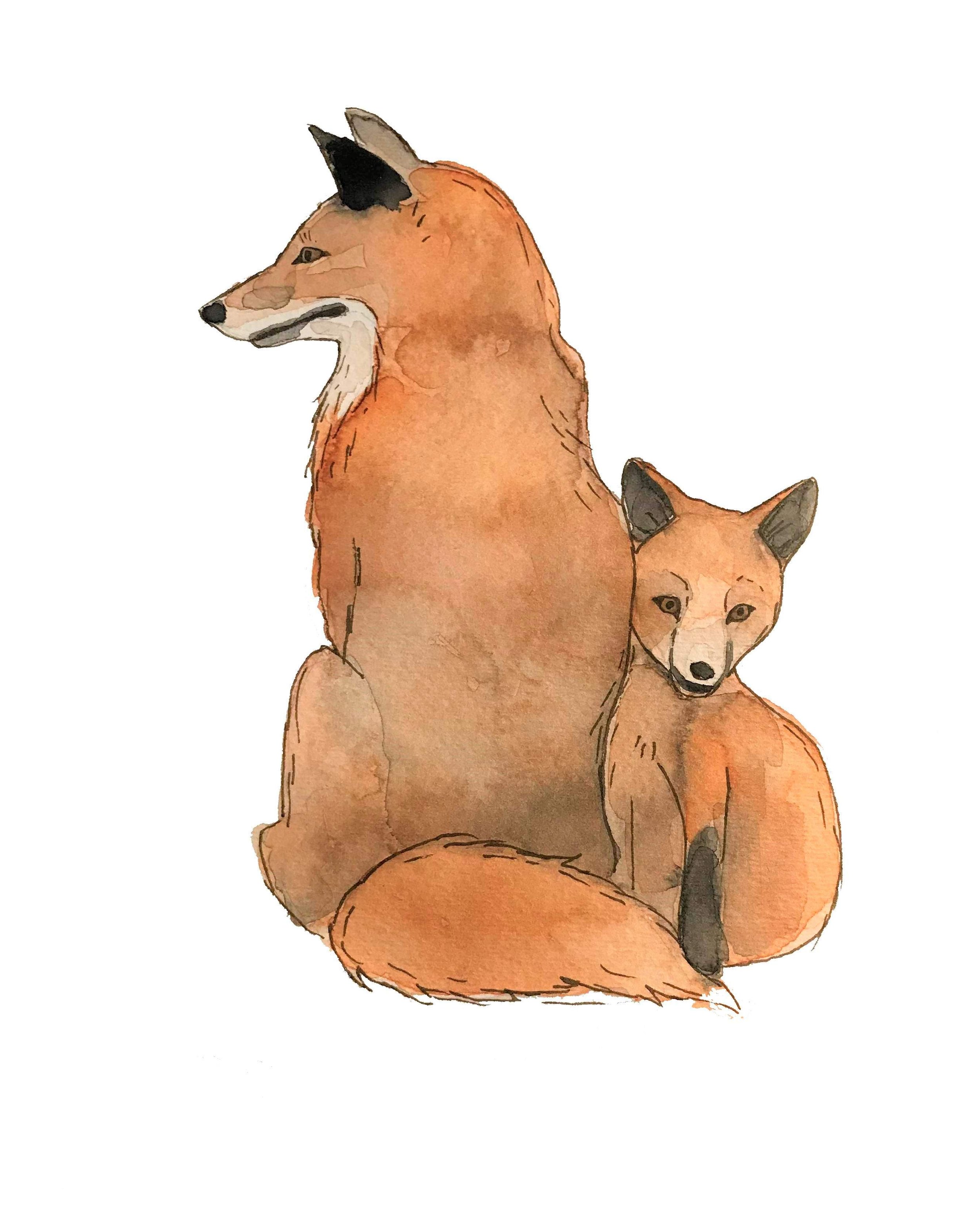 Fox.JPG