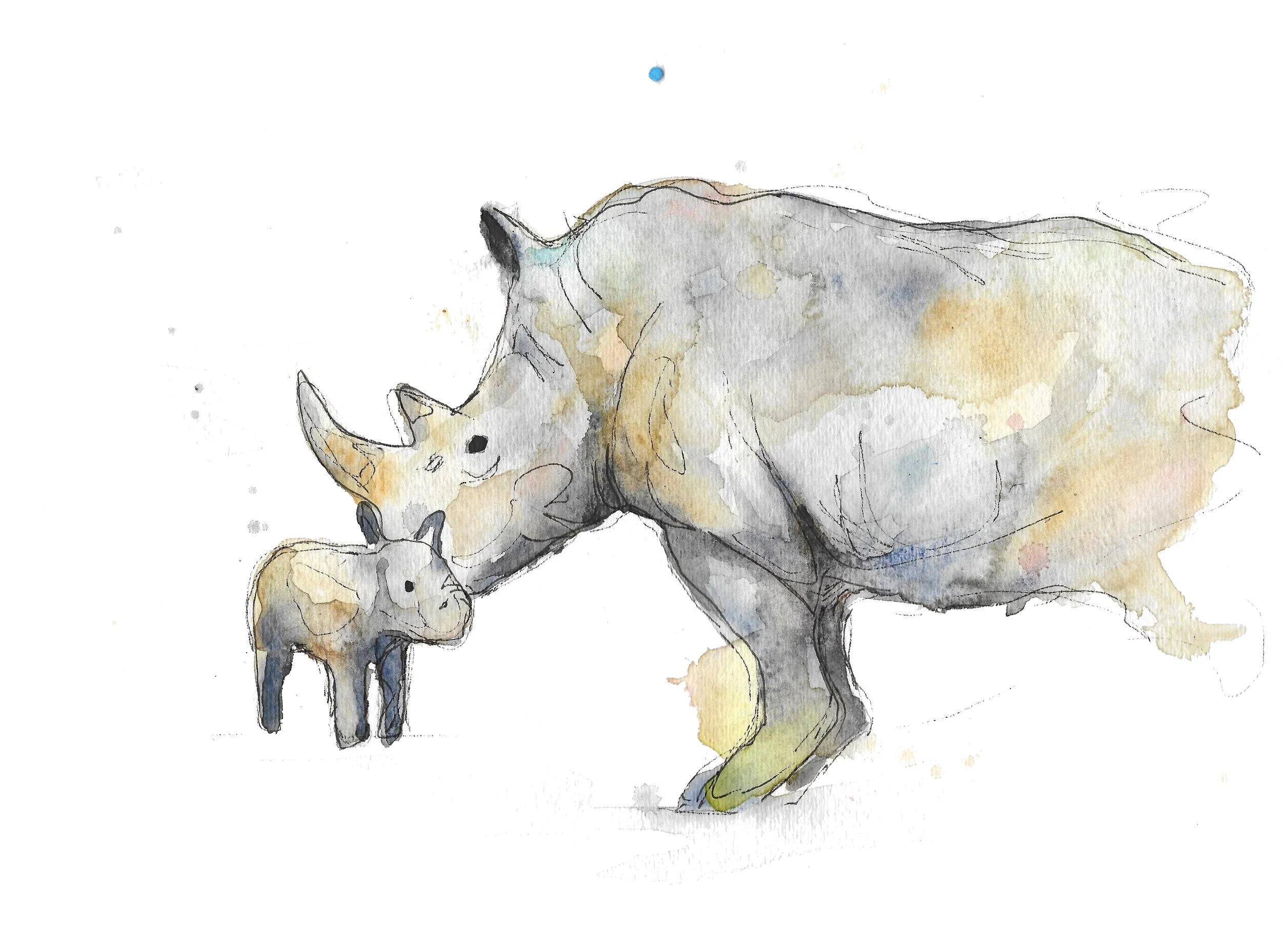 rhinos.jpg