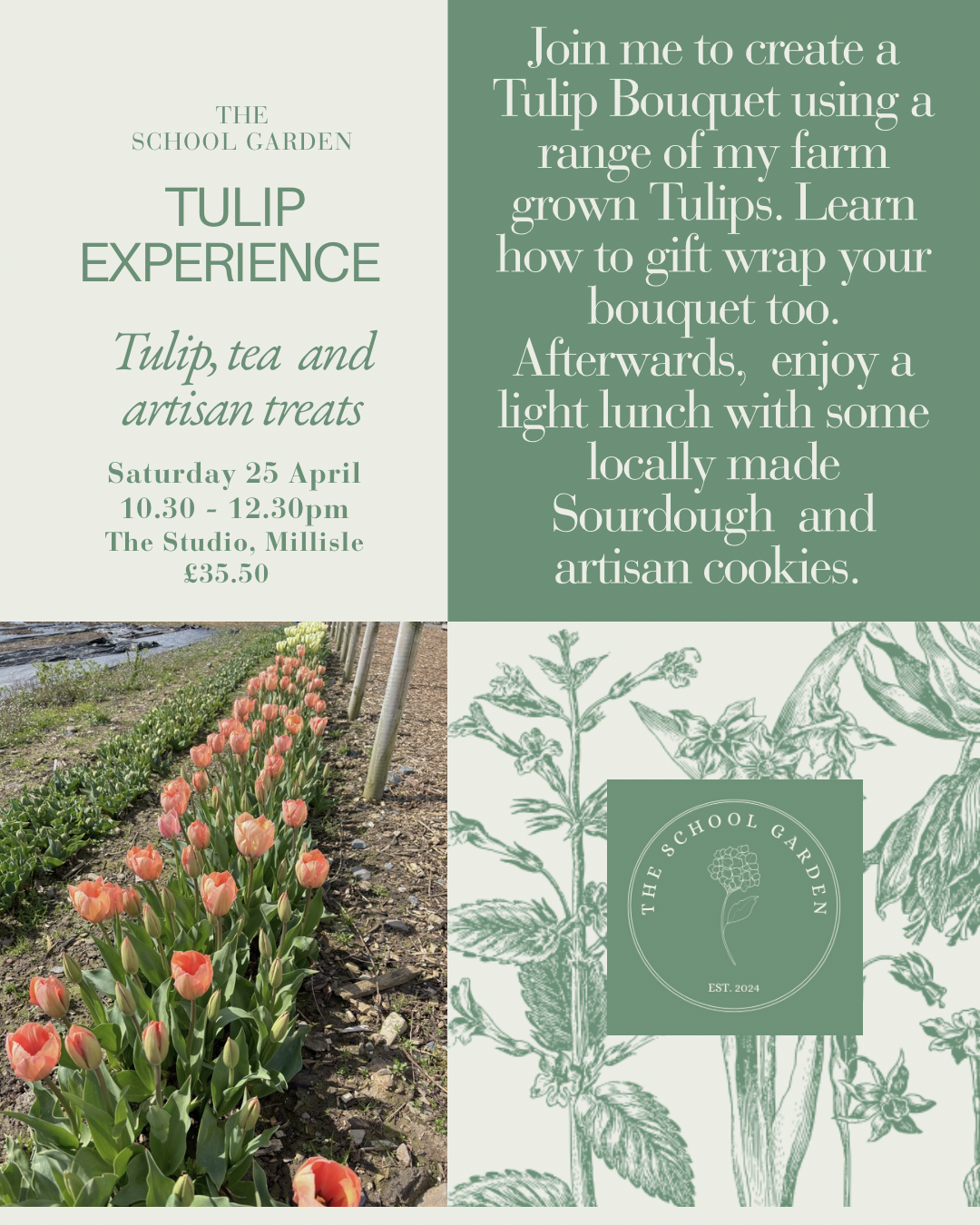 The school garden.png