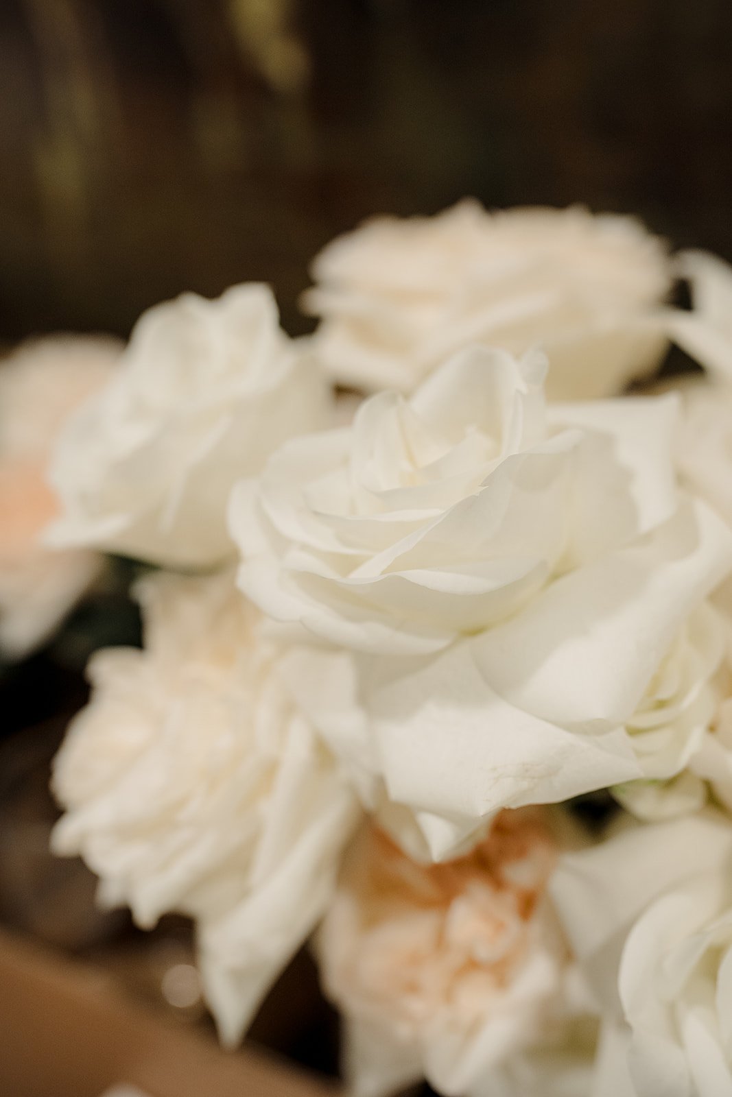 rachel-michael-wedding-24_websize.jpg
