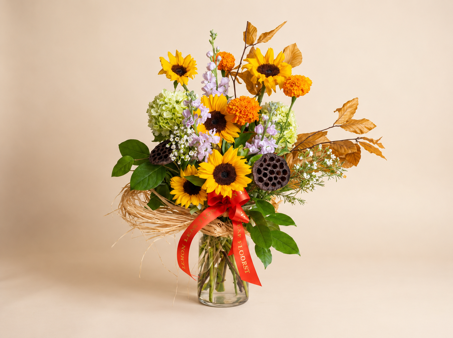 ChatGPT Image Sep 17, 2026, 11_21_34 AM.png