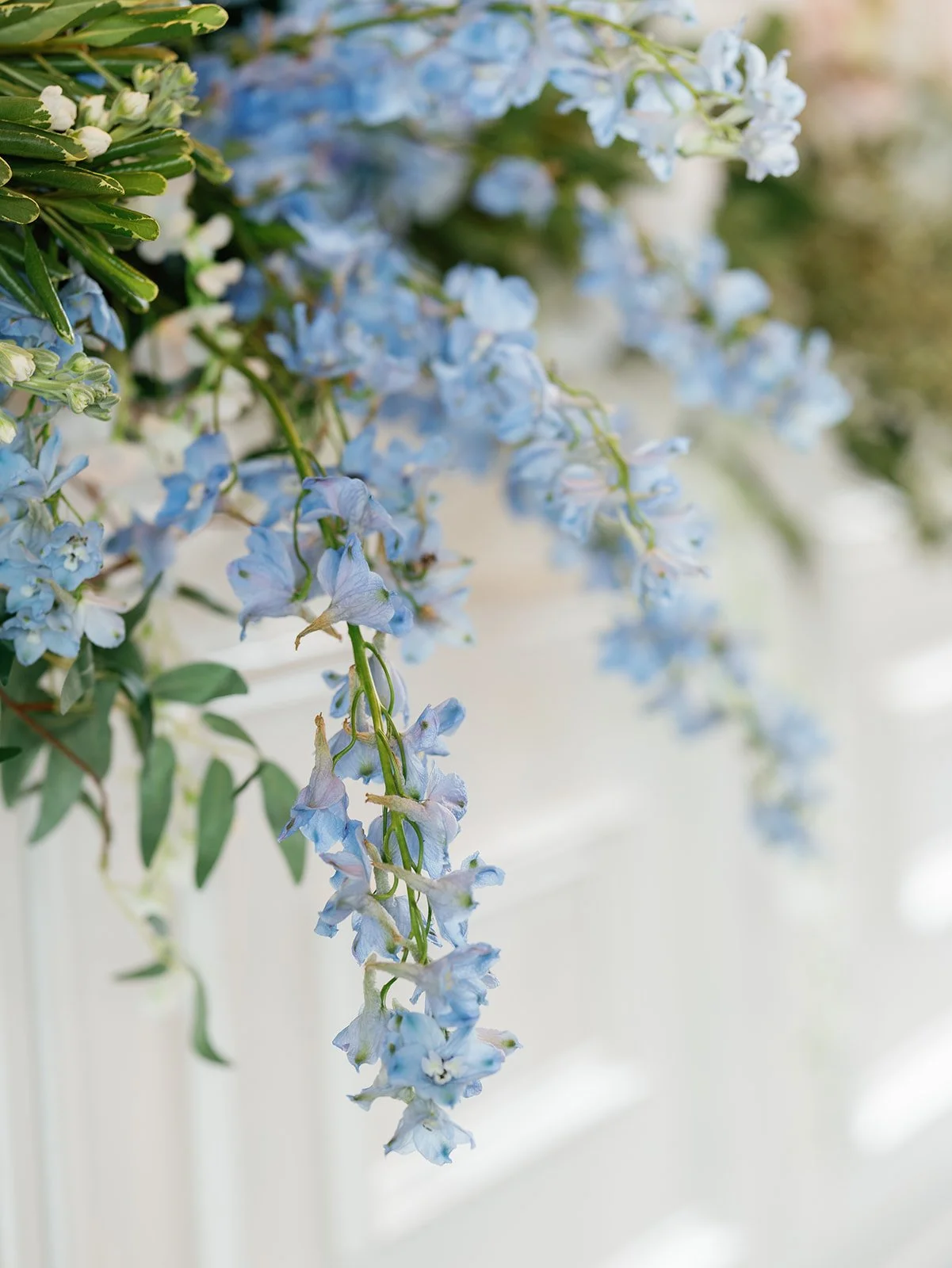 Beall-Byrne-Wedding-RD-73_websize.jpg