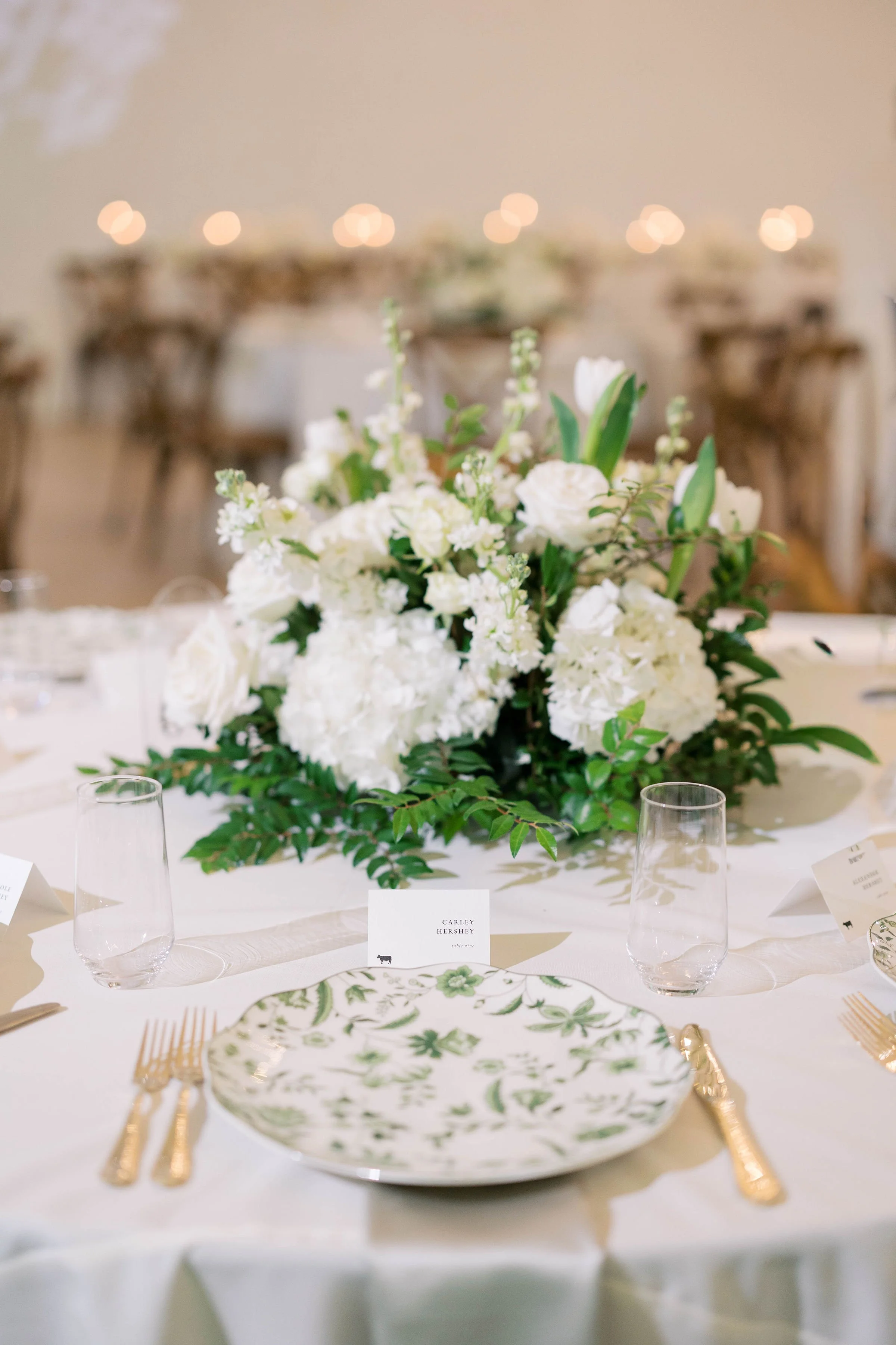 Diana-Brewer_Meggie-Ryan_10Reception-2.jpg