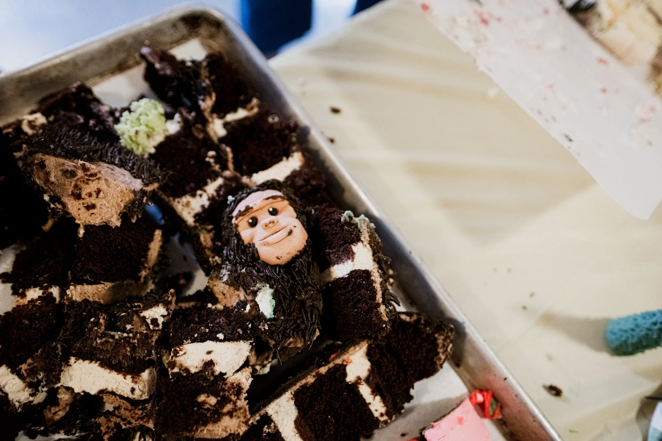 ParisHillCake-9801.jpg
