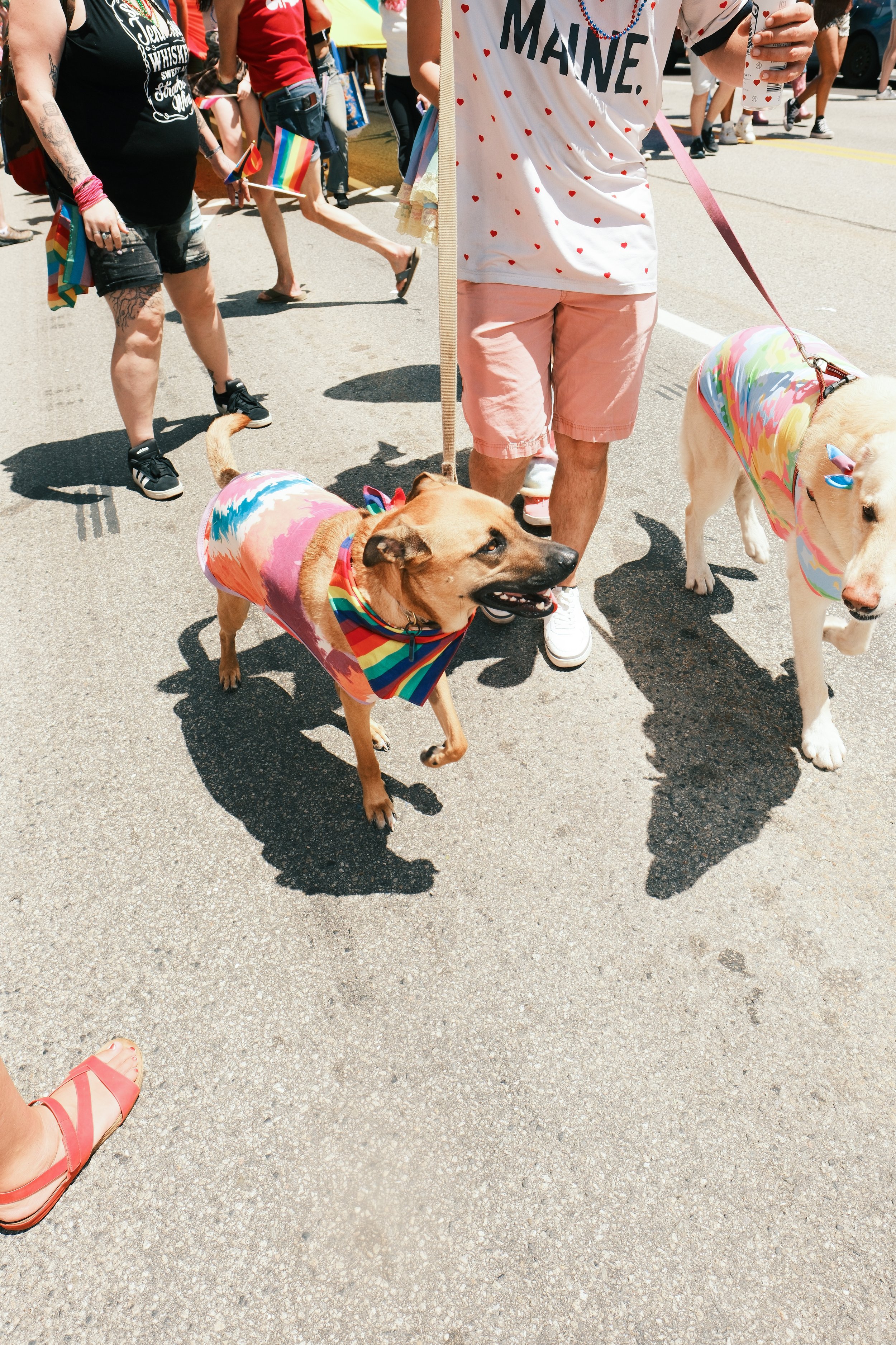 pride-5897.jpg