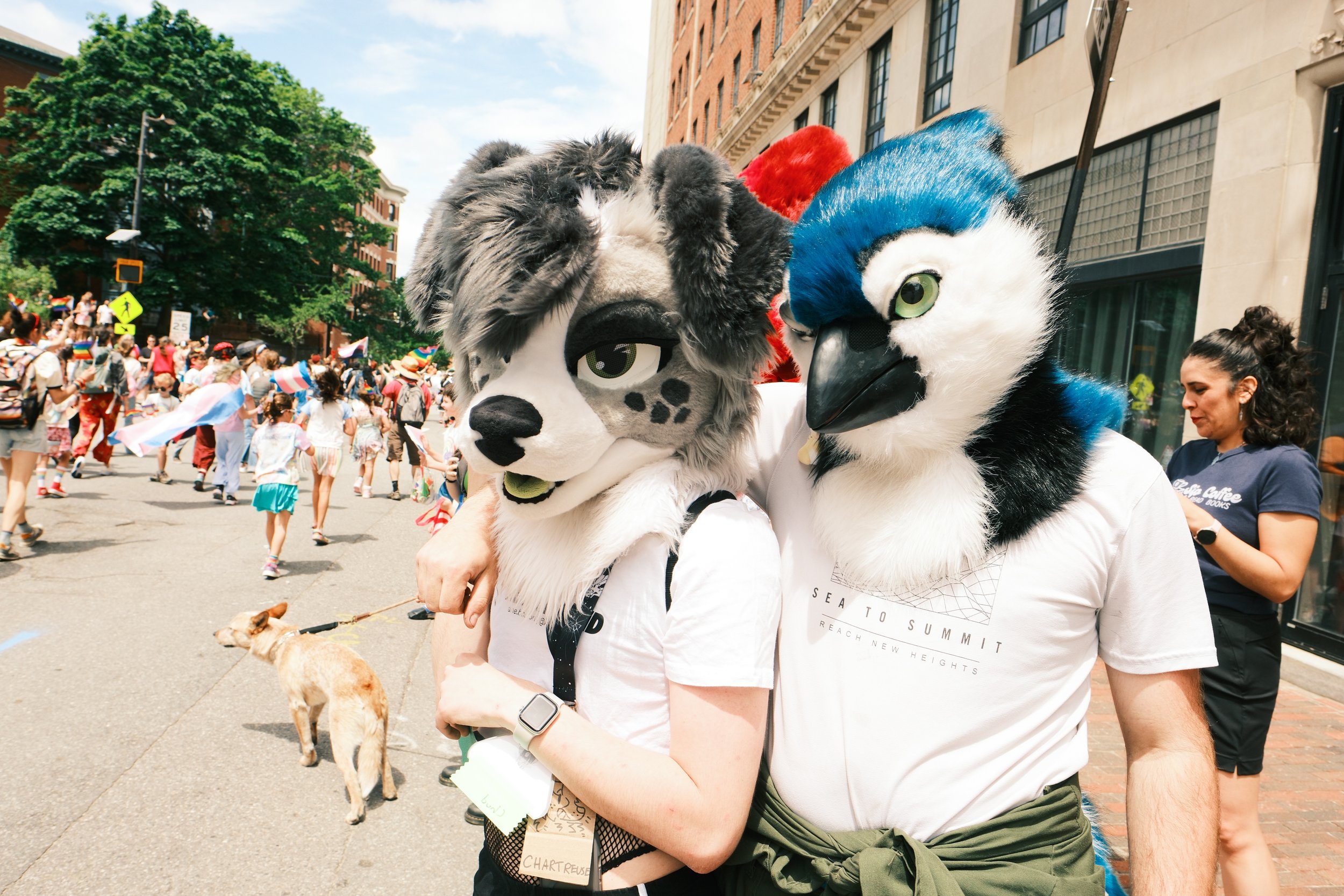 pride-5734.jpg