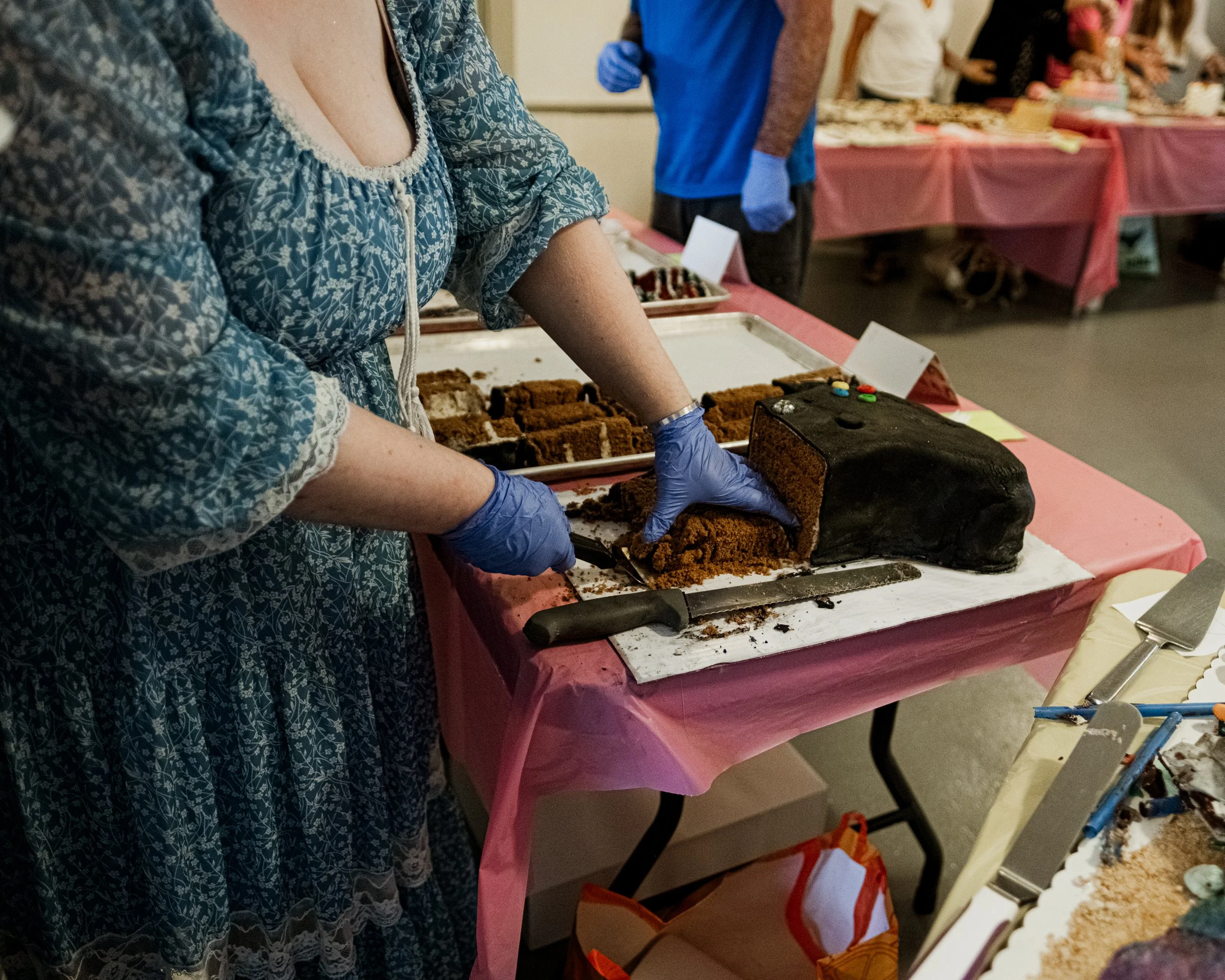 ParisHillCake-9776.jpg