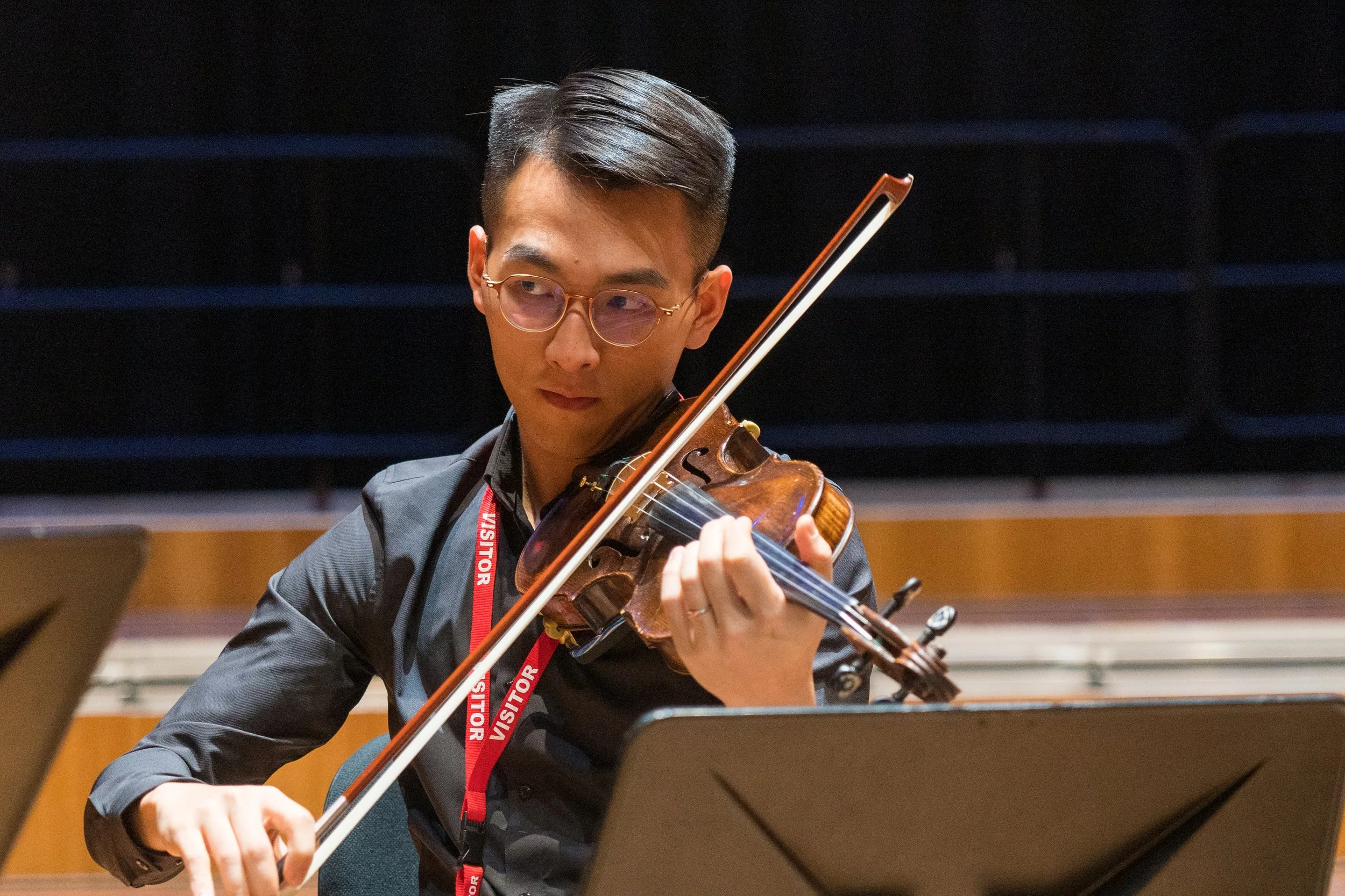 Chinese and Western Strings 15.8-76.JPG