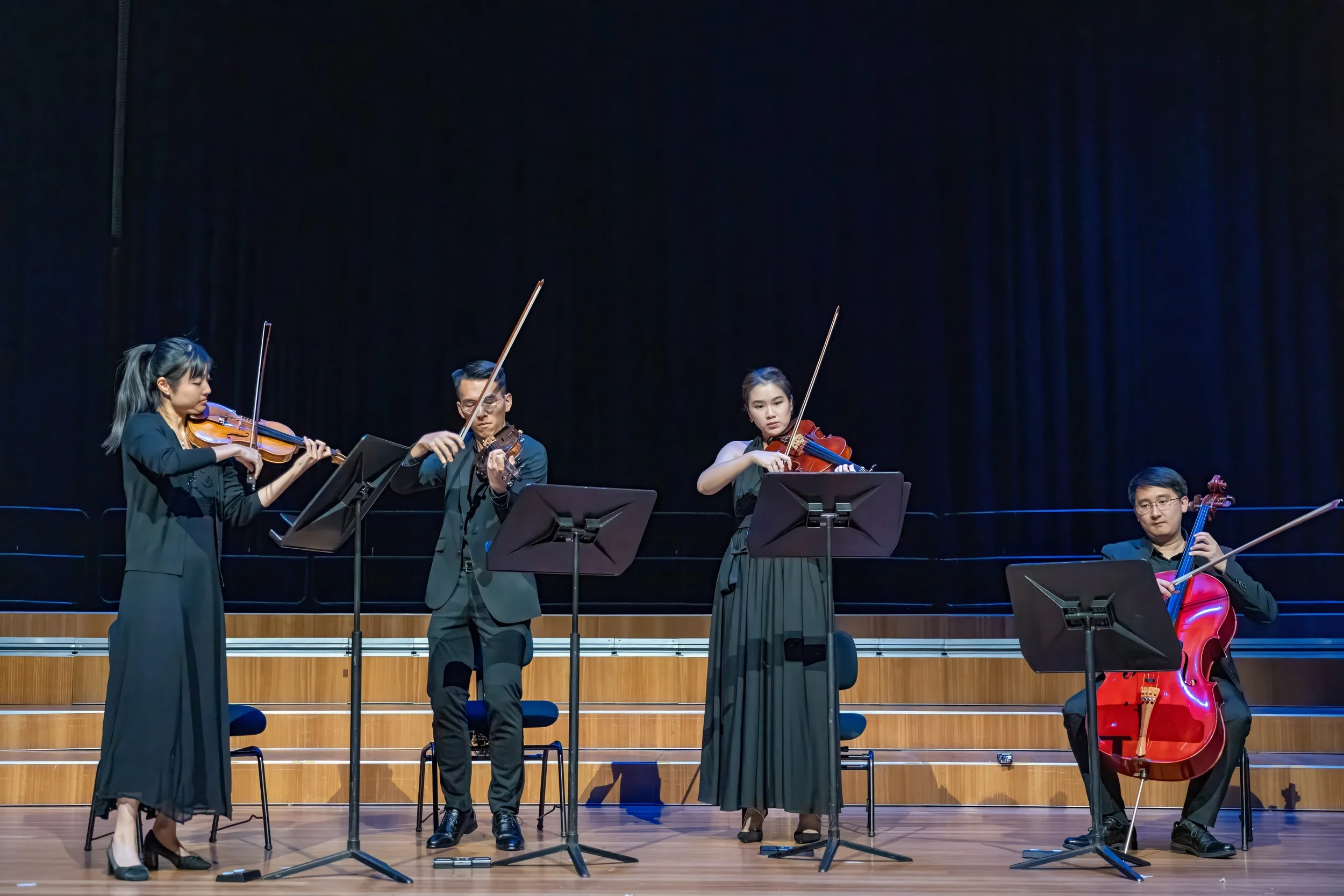 Chinese and Western Strings 15.8-294.v2.JPG