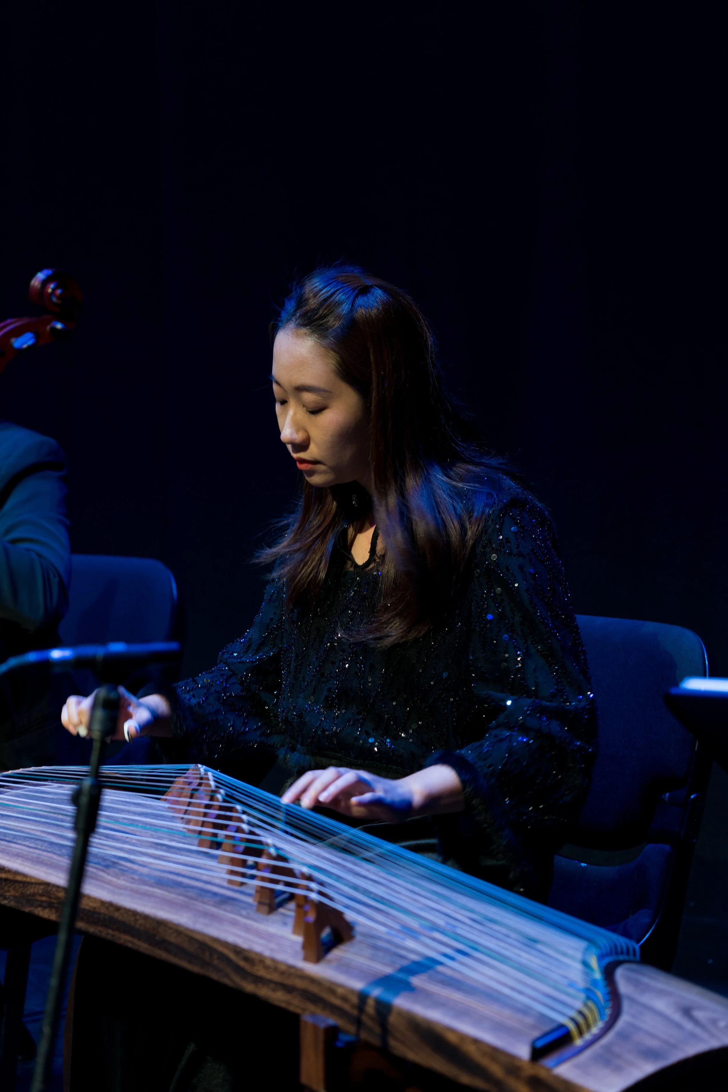 Chinese and Western Strings-25.JPG