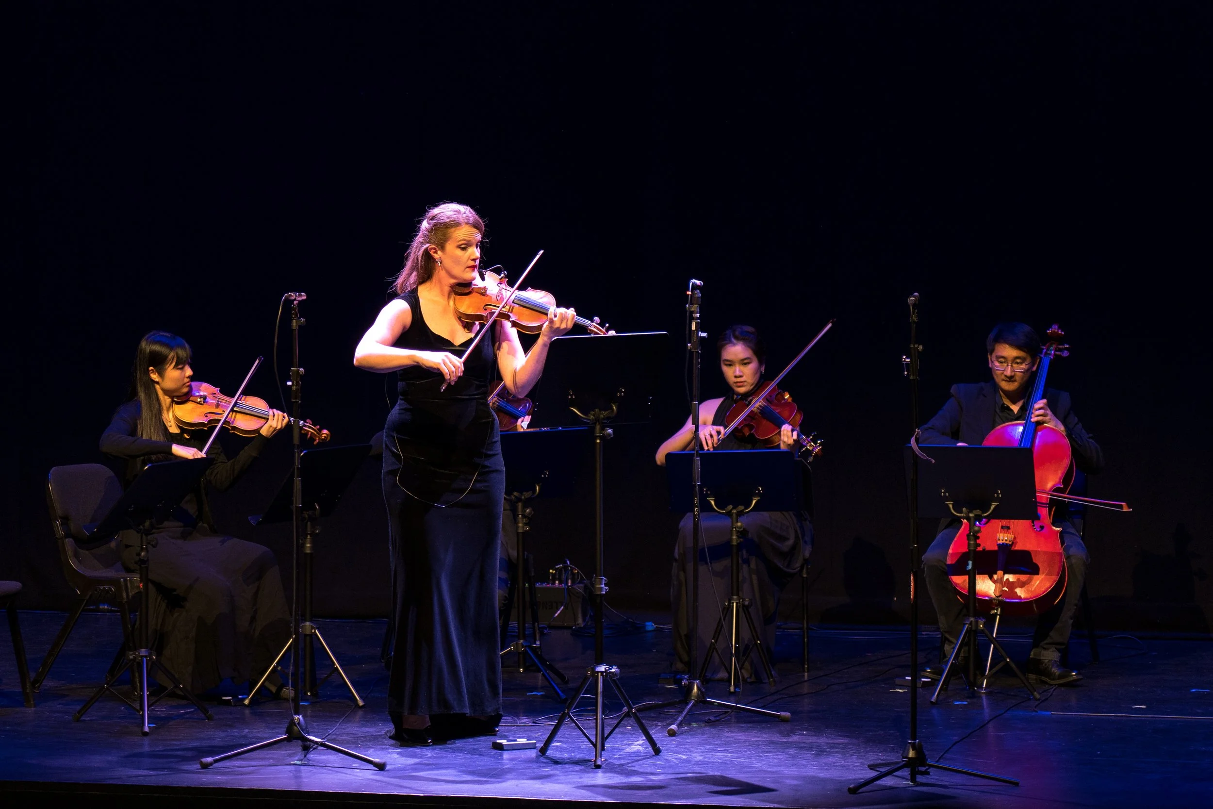 Chinese and Western Strings-311.JPG