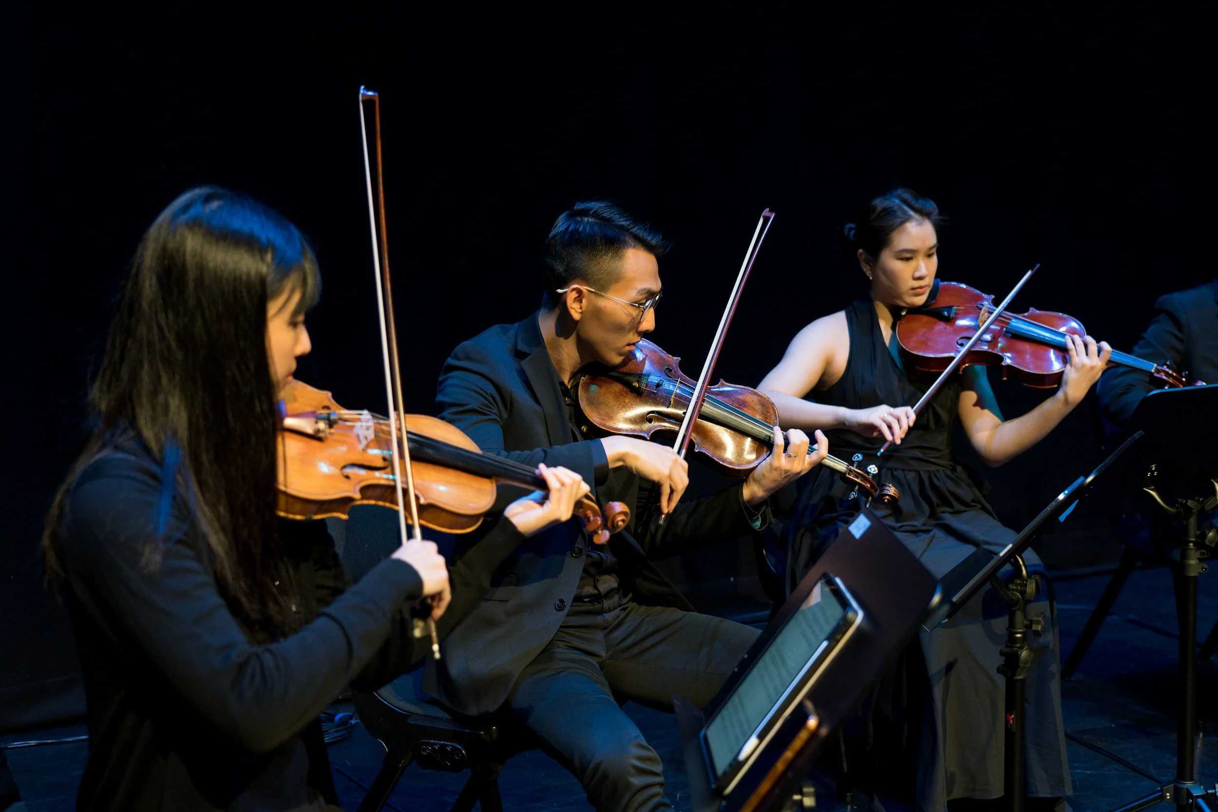 Chinese and Western Strings-58.JPG
