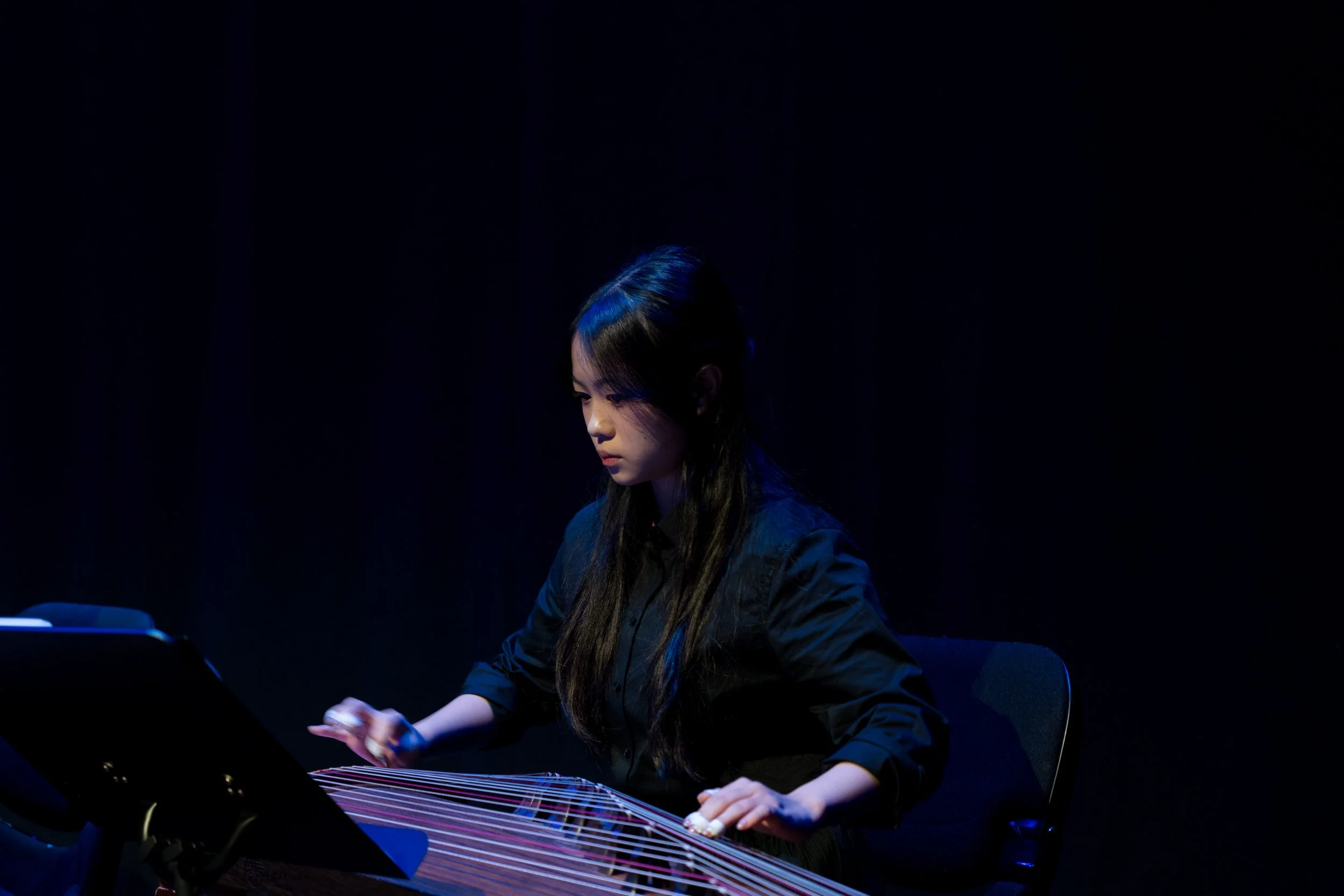 Chinese and Western Strings-26.JPG