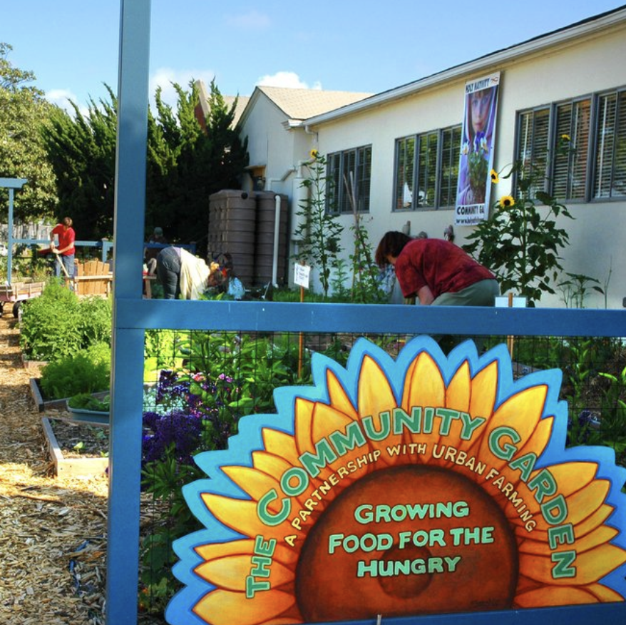 Community Garden Volunteer Day