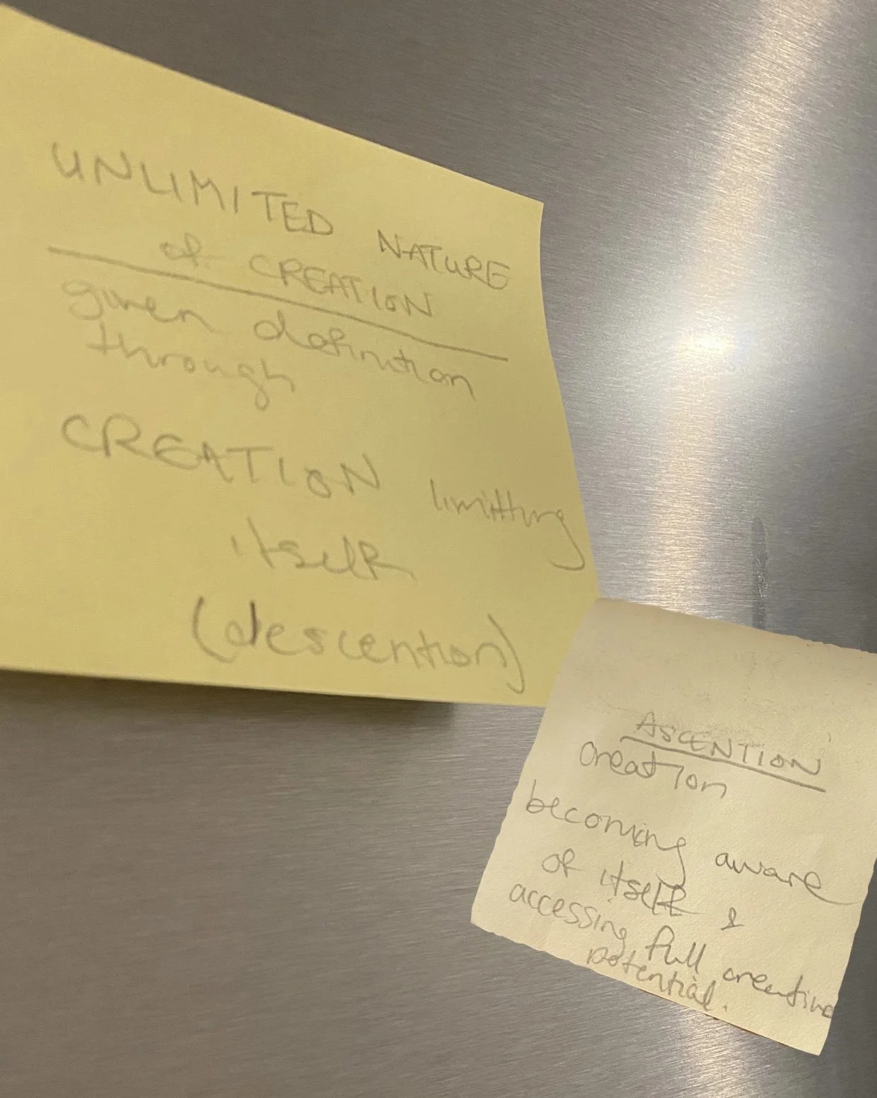 147E906C-0A66-4DE9-8C95-B40C081527A4 2.jpeg