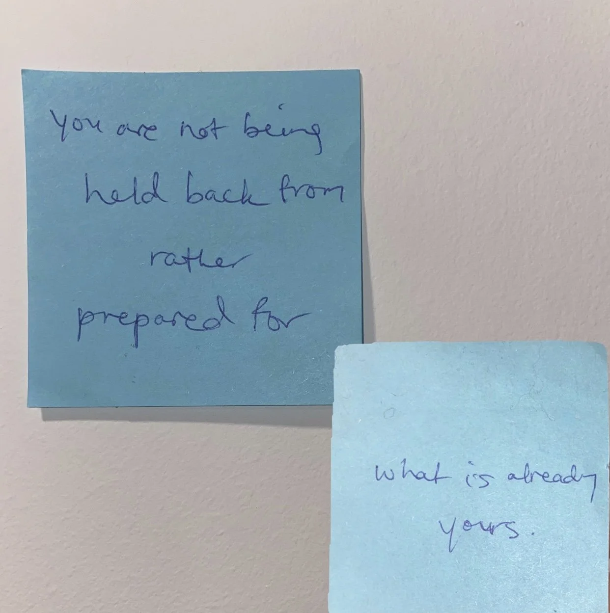 AAC3DD58-A8D6-4A56-8F06-9A910FCB9751 2.jpeg