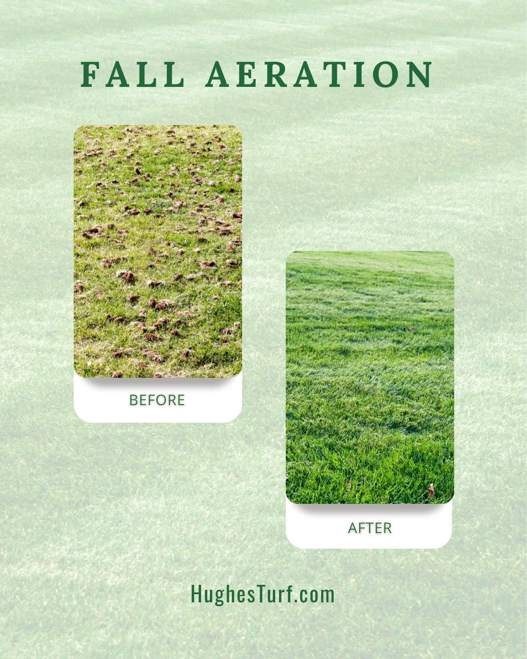 Cooler temps are on the way. 🍁 Aeration, overseeding, and fertilization will ensure your grass stays thick and healthy all season long. 

Let Hughes Turf Management handle the details so your yard is ready to shine. 

#FallLawnCare #Aeration #Overse