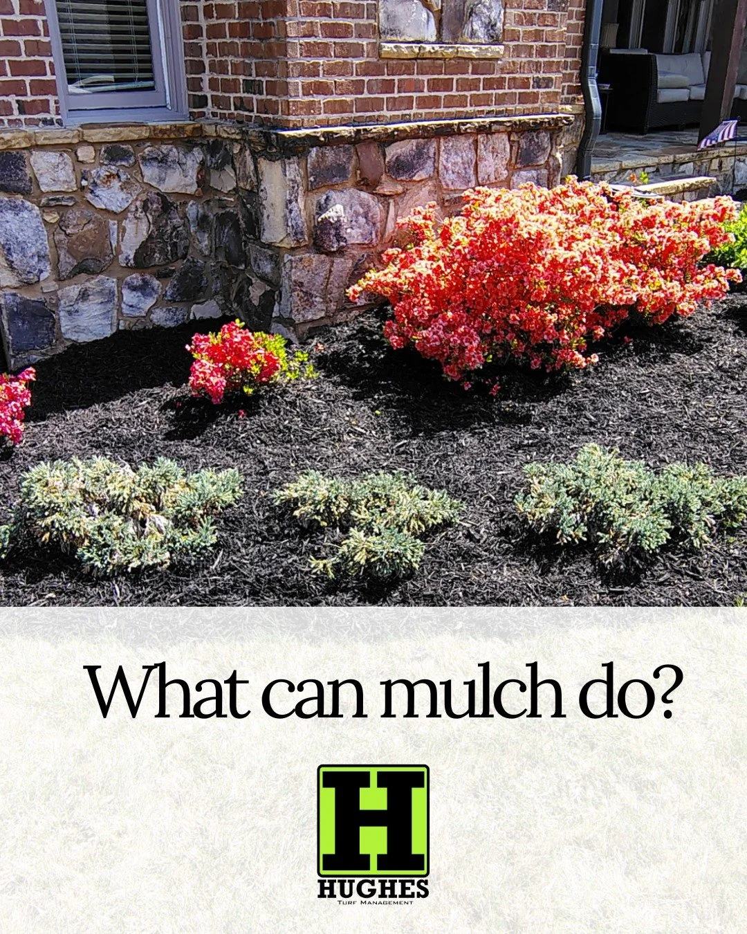 A fresh layer of mulch does wonders this time of year! It insulates roots as temperatures begin to dip, suppresses fall weeds, and gives your beds a crisp, polished look. 🌿 Let Hughes Turf Management refresh your mulch this season.

#MulchRefresh #F