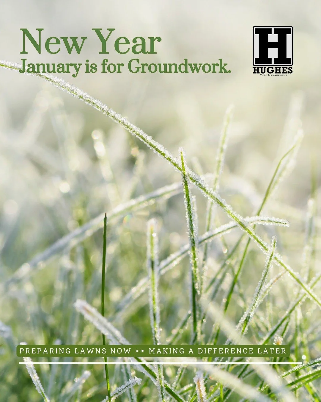 New Year of Lawn Treatments! January is for Groundwork.

While your lawn may look quiet this time of year, January is when the foundation for a healthy spring lawn is built. Soil health, planning treatments, and addressing problem areas now make all 