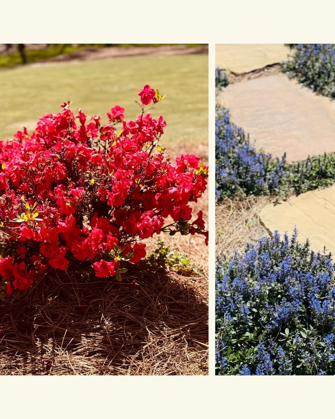 Dreaming About Your Spring Yard 

🌱 Thinking about what you want your yard to look like this spring?

Now is the perfect time to start planning. Whether you&rsquo;re dreaming of thicker grass, updated landscape beds, better drainage, or new hardscap