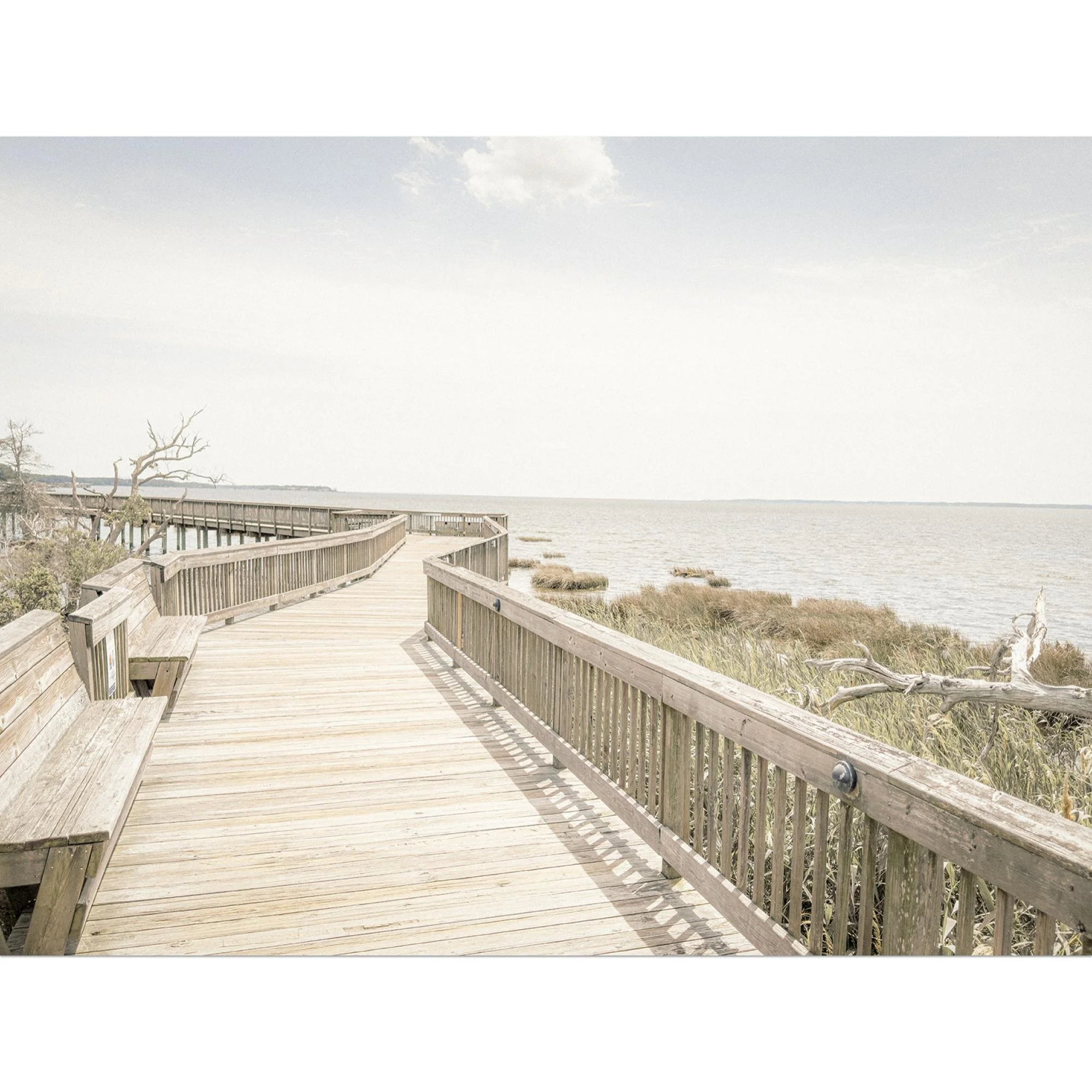 GLOY ARTS - Graphics & Inventory (49).jpg