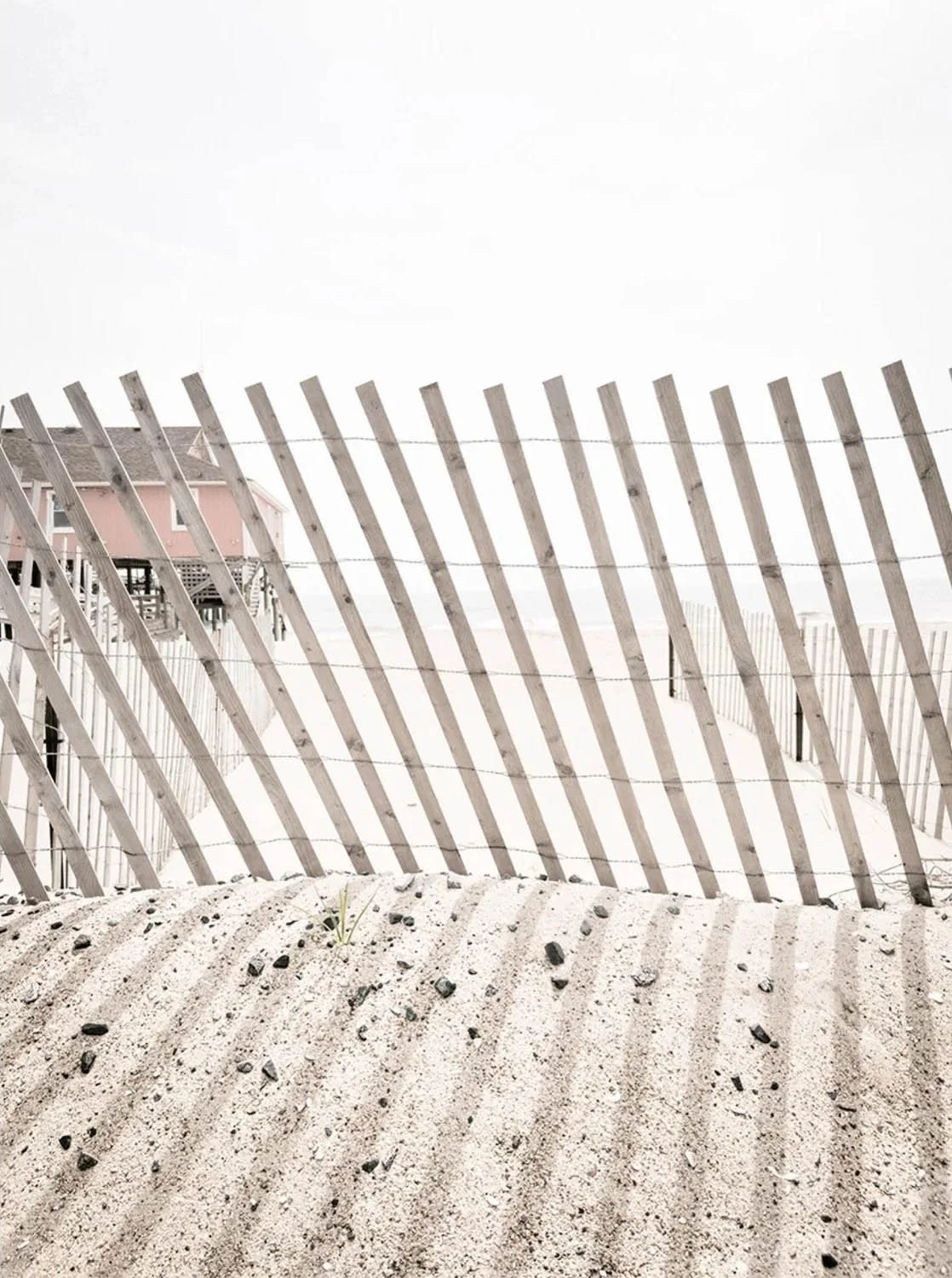"Lines in the Sand" - Photography by Lindsey Gloy