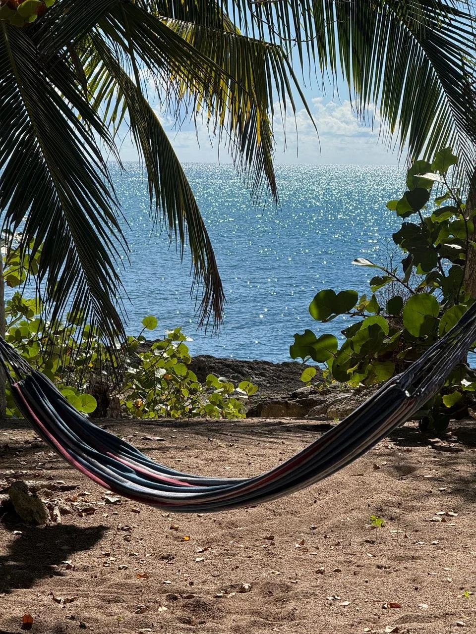 A hammock hanging between palm trees on a sandy beach, overlooking a sparkling blue ocean with a partly cloudy sky.
