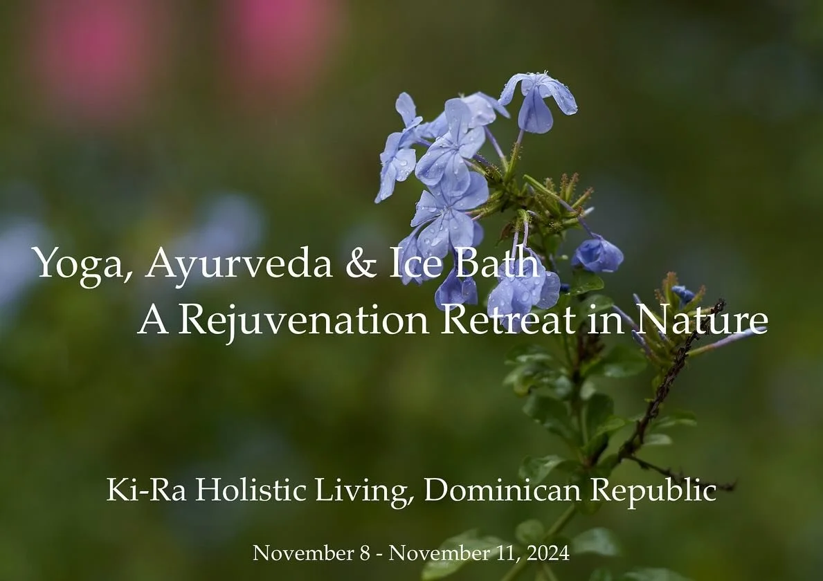 Next weekend will be our last retreat of the year. Join us for yoga, treatments, amazing detox food, breathwork &amp; an Ice immersion. To take you into the holiday season glowing and peaceful! 
We are almost full but we can always squeeze a few more