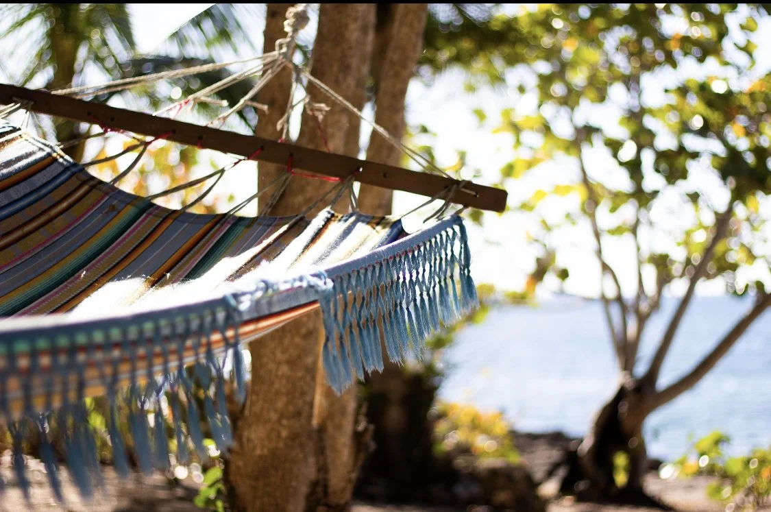 Colorful hammock hanging between trees near the water, with sunlight filtering through the leaves.