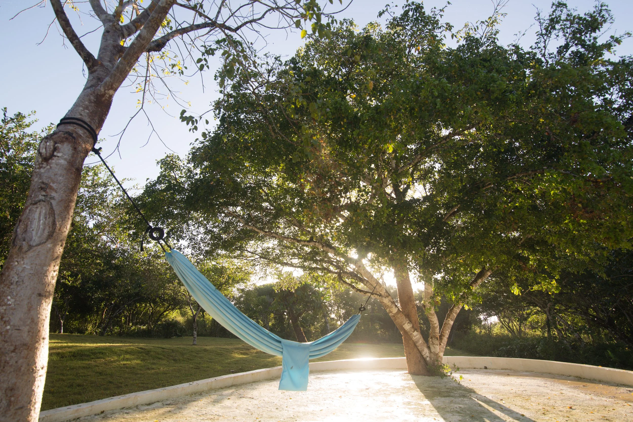 A hammock hanging between two trees in a sunlit outdoor park or garden with greenery and a curved pathway.