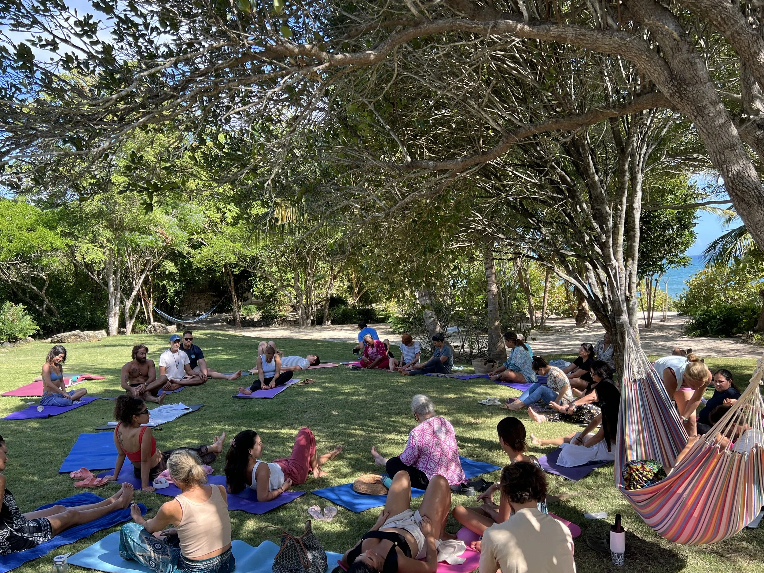 Group of people participating in a yoga session outdoors beneath trees on a sunny day, with a hammock nearby and the ocean visible in the distance.