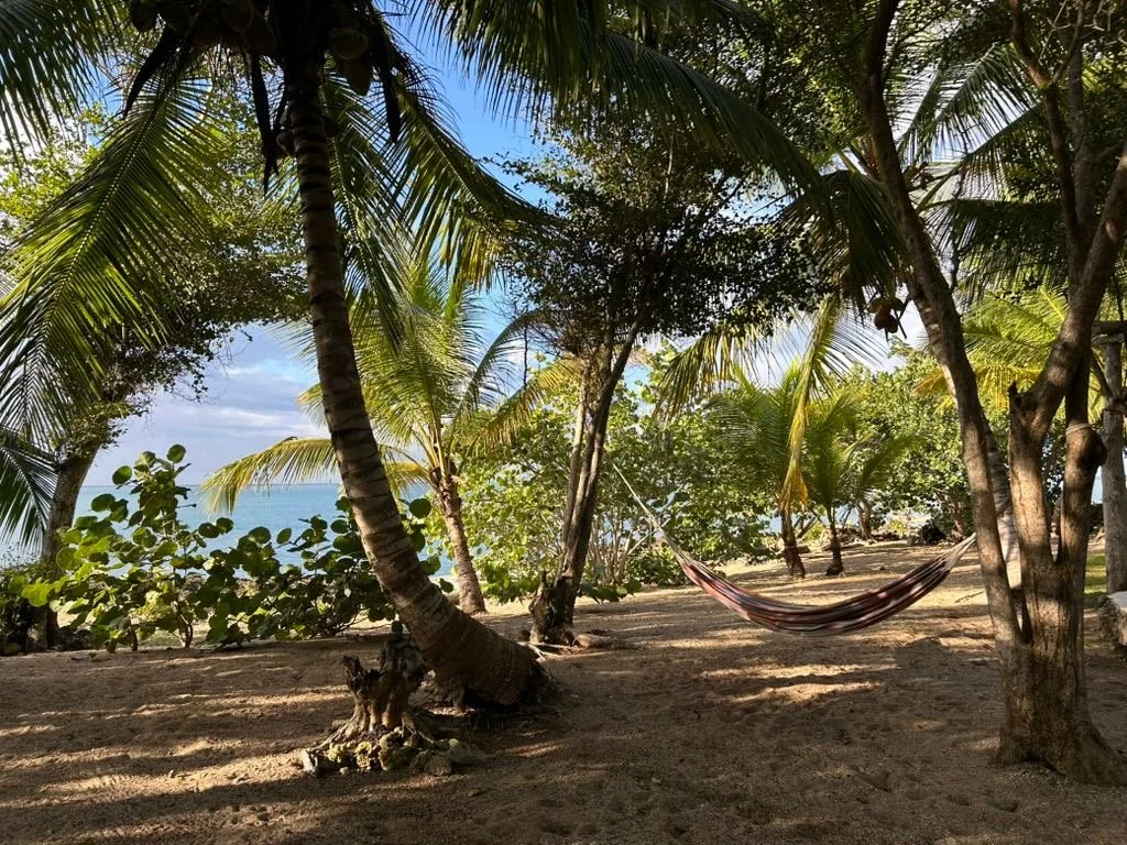 Tropical beach scene with palm trees, sandy ground, and hammock, ocean visible in the background under partly cloudy sky.