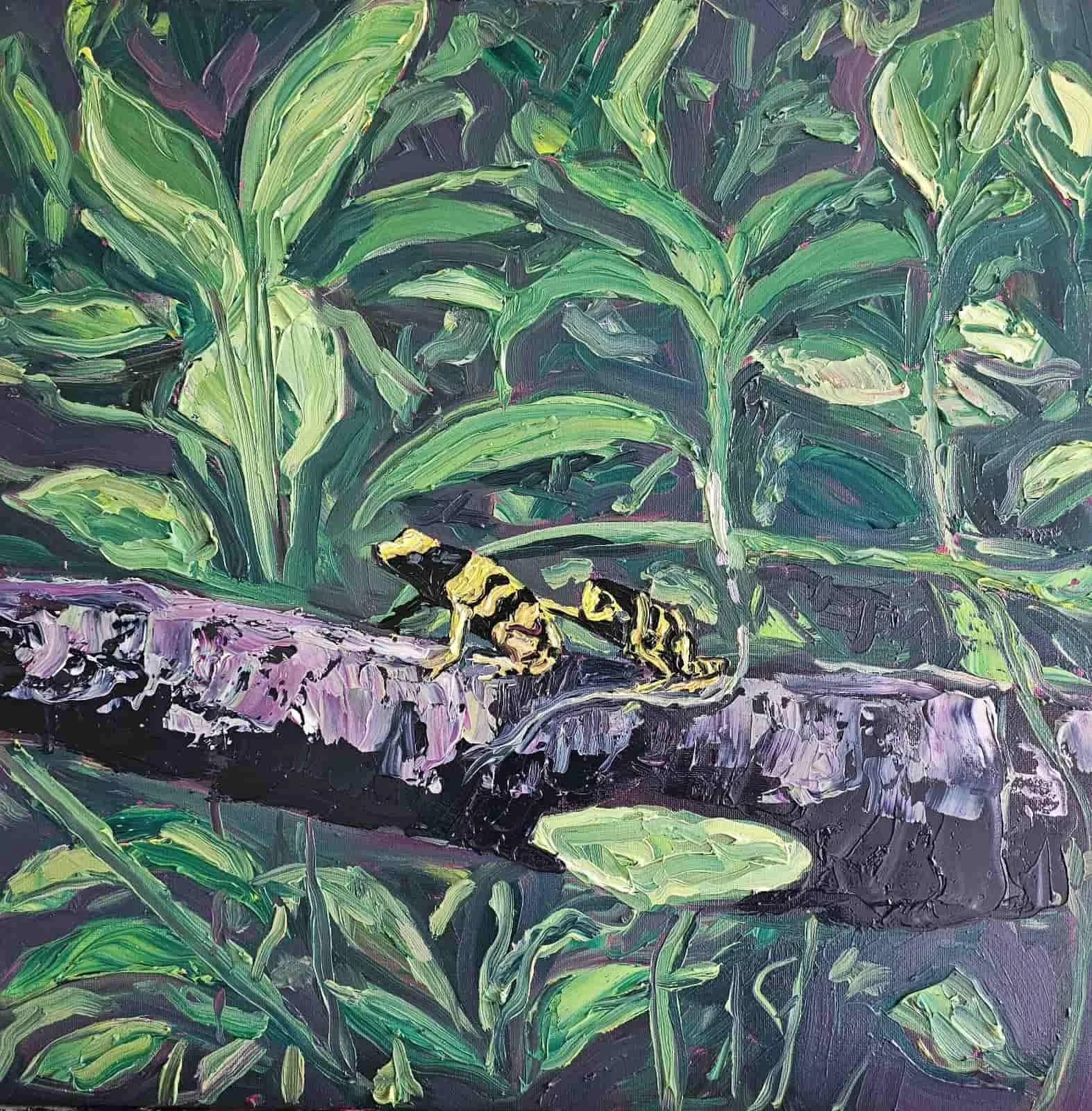 Tree Frogs
Oil on Canvas
50 x 50 cm 
€400