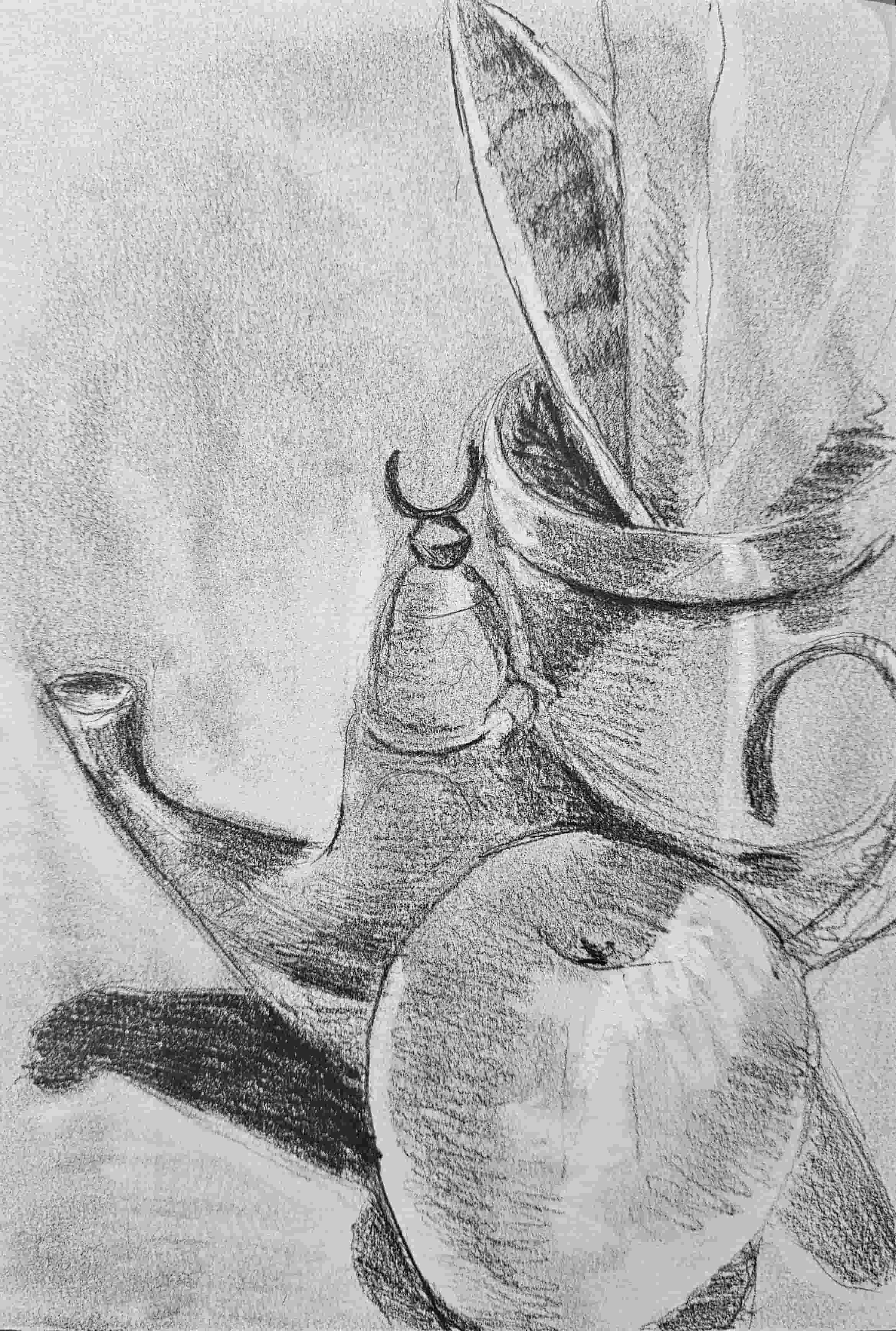 Main Image.jpg